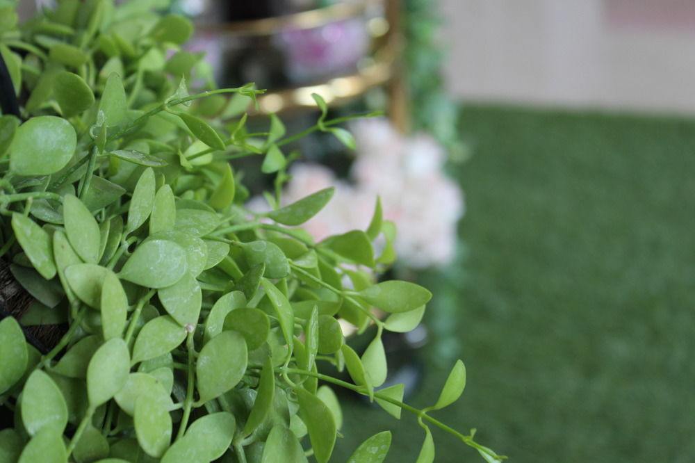 Harmony Phnom Penh Hotel מראה חיצוני תמונה